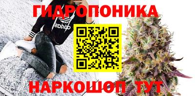 гашик Краснознаменск