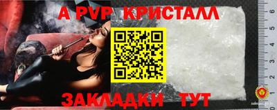 гашик Краснознаменск