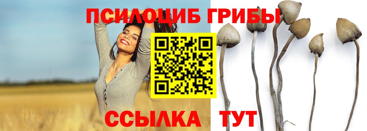 Псилоцибиновые грибы Cubensis  Галлюциногенные грибы мухоморы  Советский  Вход с VPN 
