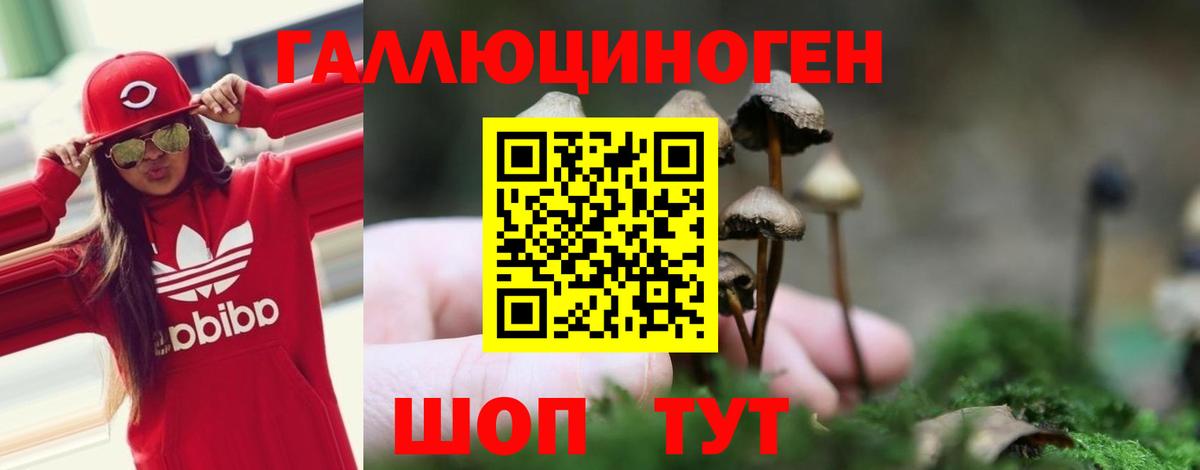 Галлюциногенные грибы MAGIC MUSHROOMS Советский
